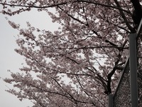 画像 359.jpg